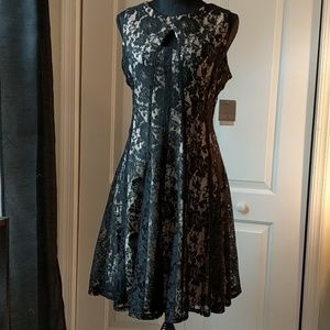 Danny & Nicole Black Lace Overlay A-Line Wedding Guest Dress